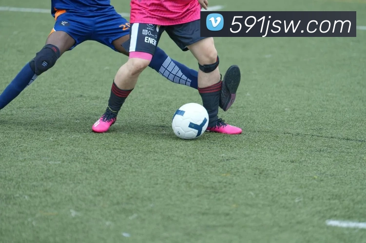 互动解说服务